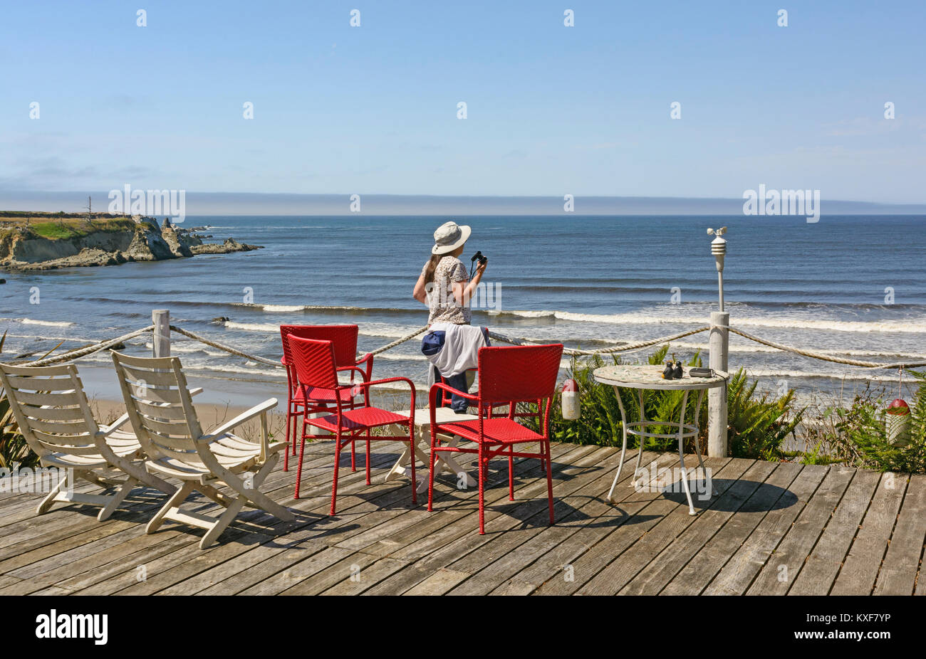 À la recherche d'oiseaux d'une vue de la côte près de Charleston, South Carolina Banque D'Images