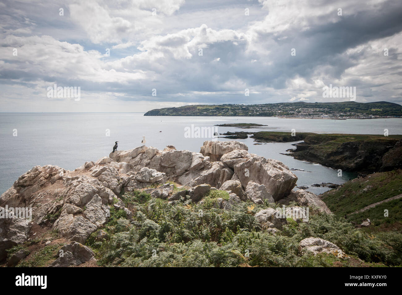 Vue sur la mer de l'île d'Ireland's Eye vers Howth au large de la côte de Dublin en Irlande Banque D'Images