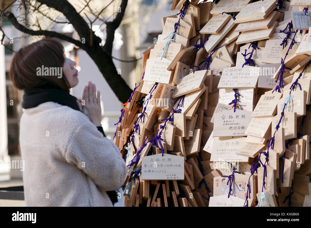 Dieu des examens Banque de photographies et d’images à haute résolution