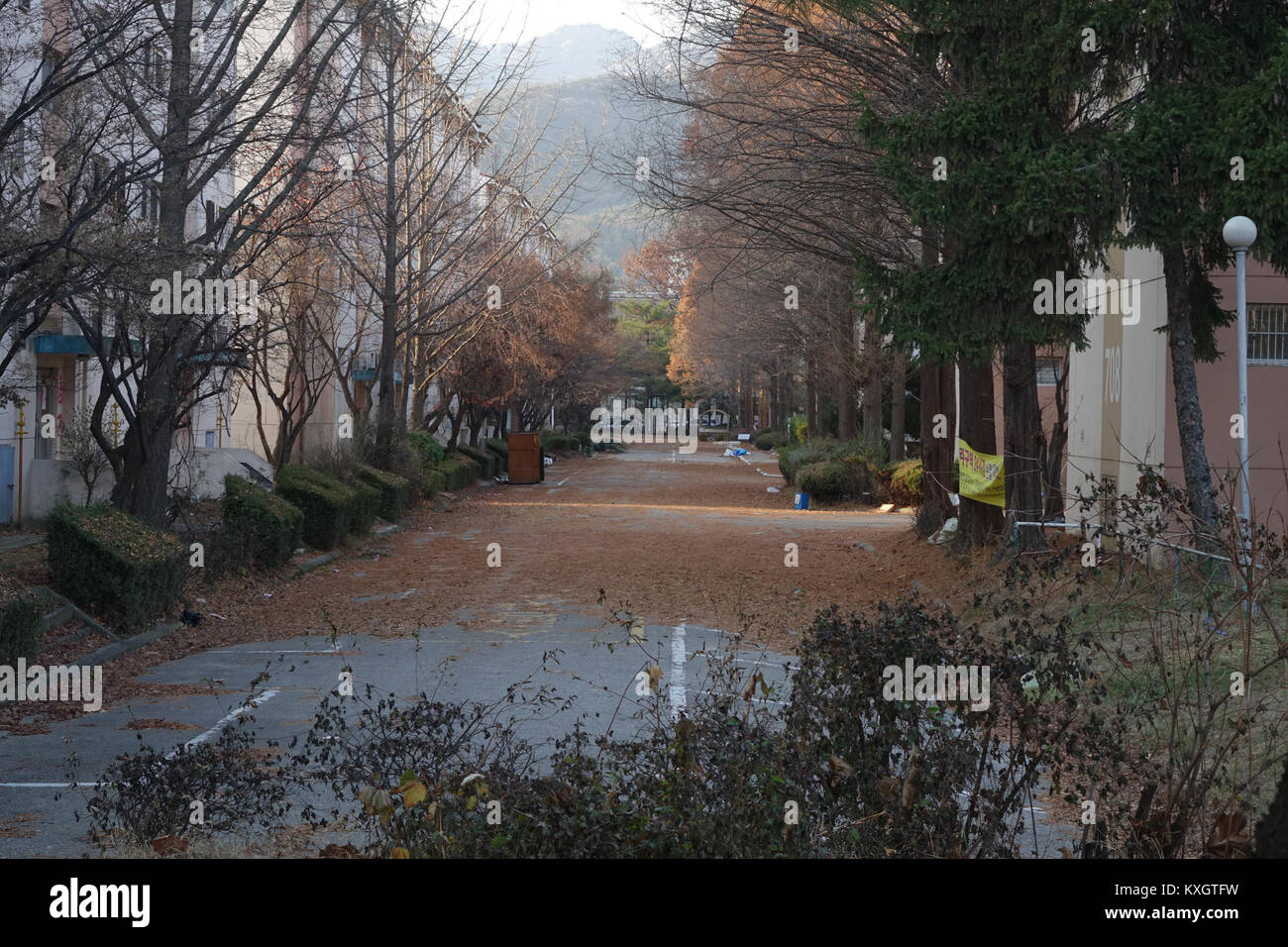 Photographie prise en décembre 2015 représentant un sujet ou une scène non précisé, sans autre contexte. Banque D'Images