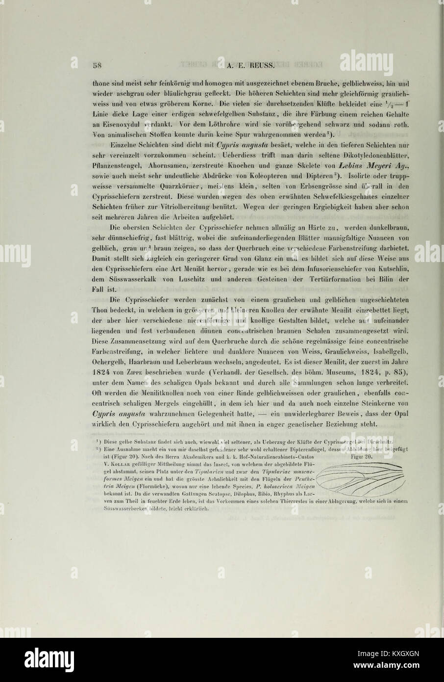 Revue académique du XIXe siècle de l'Institut impérial et royal de géologie, publiant des recherches sur la géologie, l'exploitation minière et les sciences de la Terre. Banque D'Images
