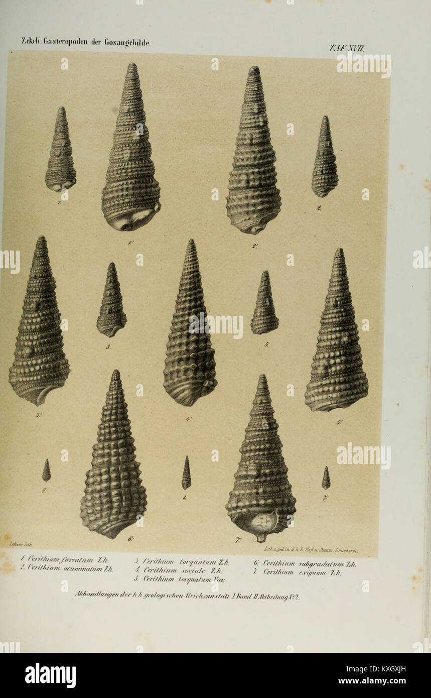 Publication scientifique de l’Institut impérial et royal de géologie présentant les recherches et les découvertes géologiques du XIXe siècle, documentant les contributions de l’Autriche aux sciences géologiques. Banque D'Images