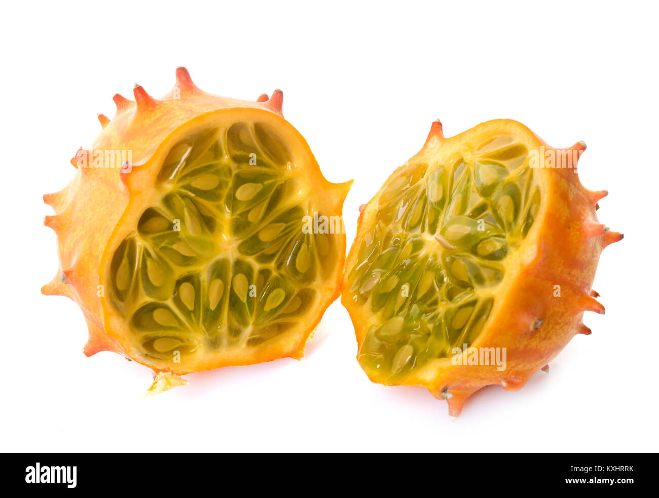 Cucumis metuliferus in front of white background Banque D'Images