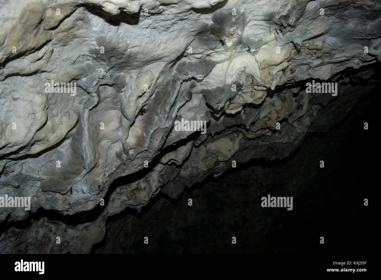 Une image historique montrant le 'Bettelküche' près de Neukirchen BEI Sulzbach-Rosenberg, en Allemagne, représentant une cuisine rurale associée à la préparation de nourriture caritative ou communautaire. Banque D'Images