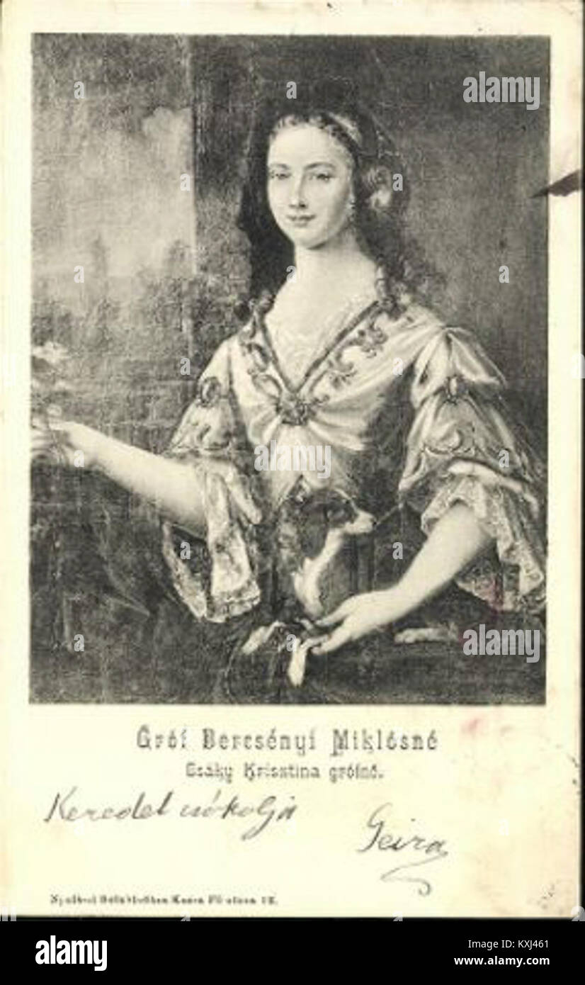 Portrait de 1903 de la comtesse Bercsényi Miklósné, représentant l'aristocratie hongroise du début du XXe siècle, connue pour son importance culturelle et sociale au sein de l'Empire austro-hongrois. Banque D'Images