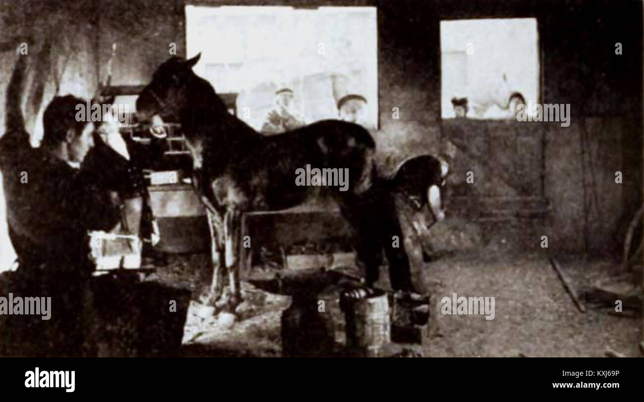 Une photographie ou une image promotionnelle de 1921 pour le film « Black Beauty », représentant des scènes ou des personnages de l'adaptation cinématographique du roman d'Anna Sewell Banque D'Images