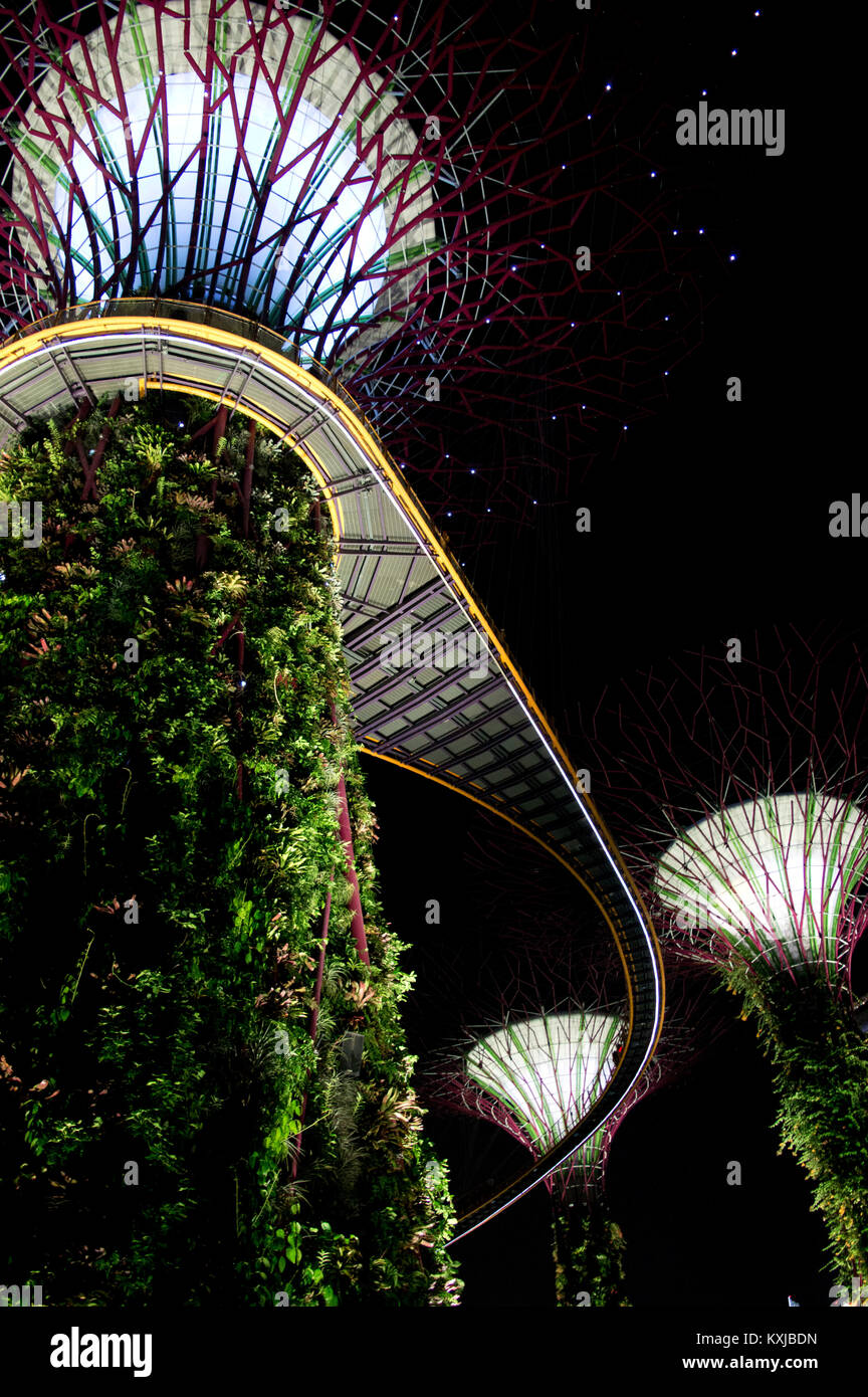 Jardins de Singapour de nuit lumières Banque D'Images