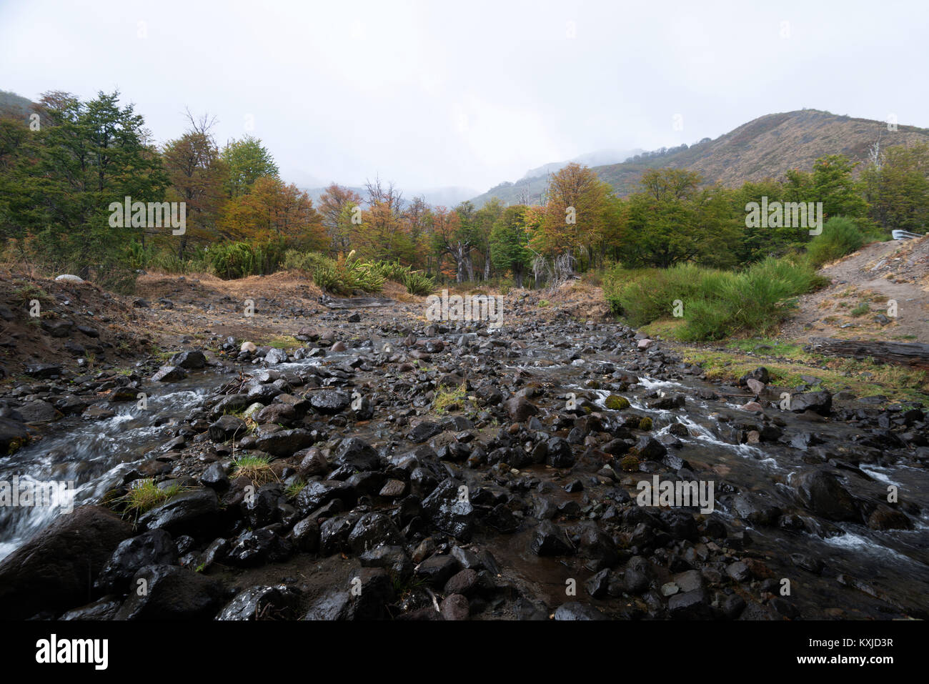 Un beau paysage d'automne près de Villa La Angostura, Argentine Banque D'Images