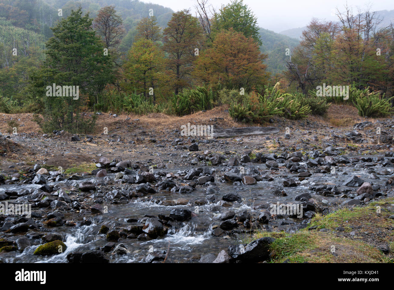 Un beau paysage d'automne près de Villa La Angostura, Argentine Banque D'Images