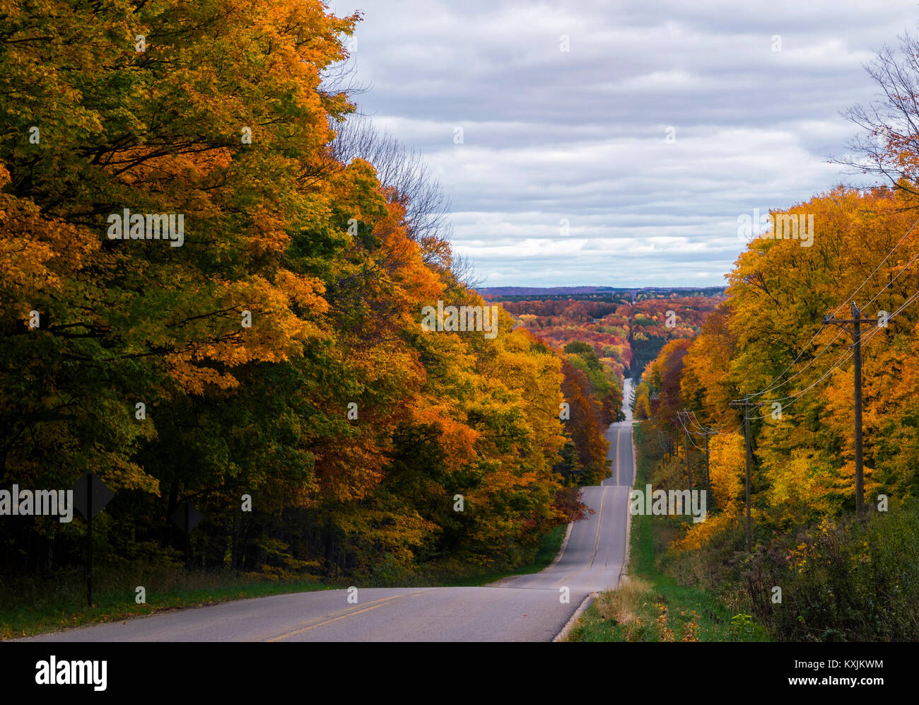Route bordée d'arbres, Automne, Harbor Springs, Michigan, United States, Amérique du Nord Banque D'Images