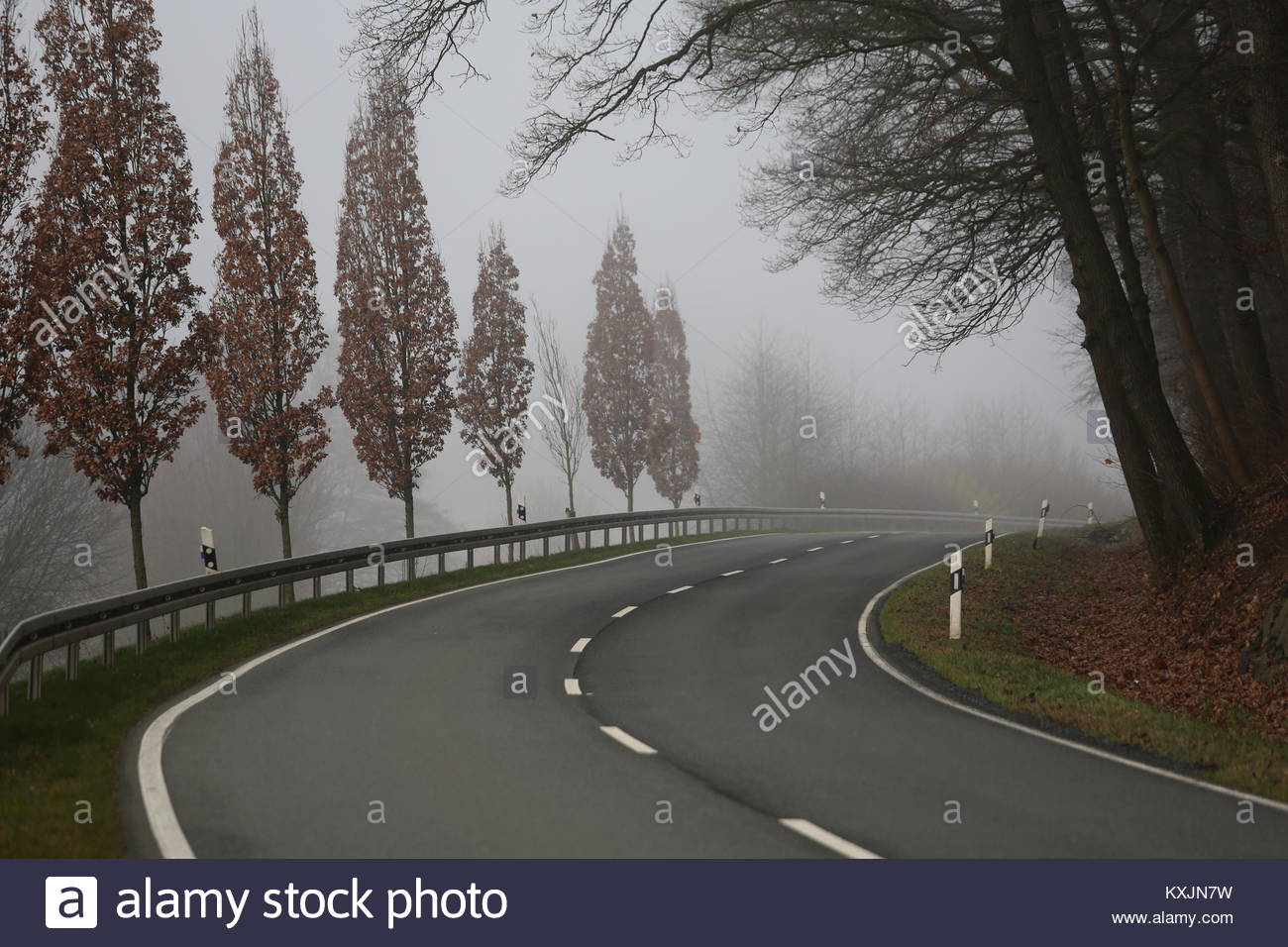 Arbres dans un épais brouillard dans une seule partie de la Franconie en Allemagne, un jour d'hiver Banque D'Images