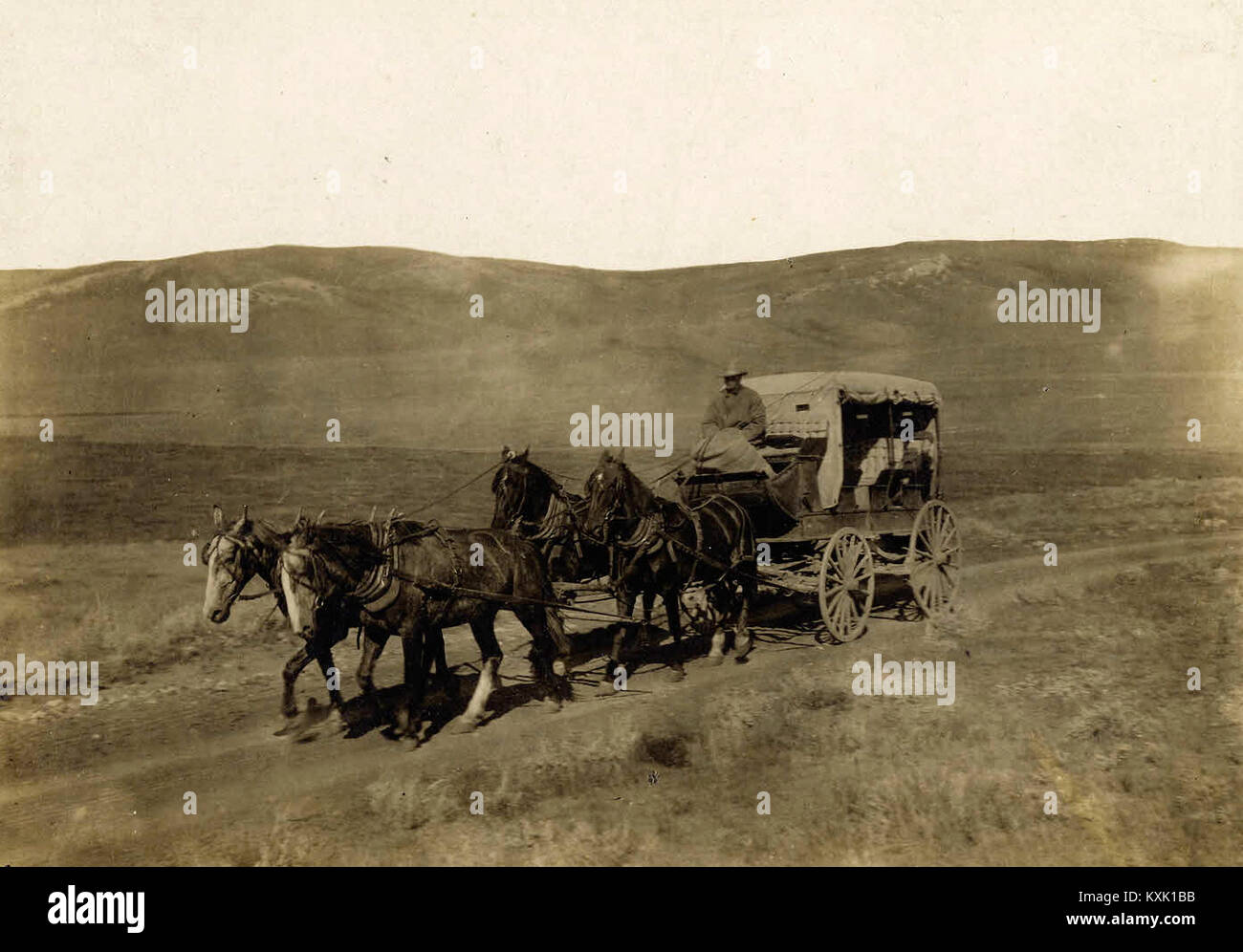 Stagecoach à Chinook, Montana 1900 Banque D'Images