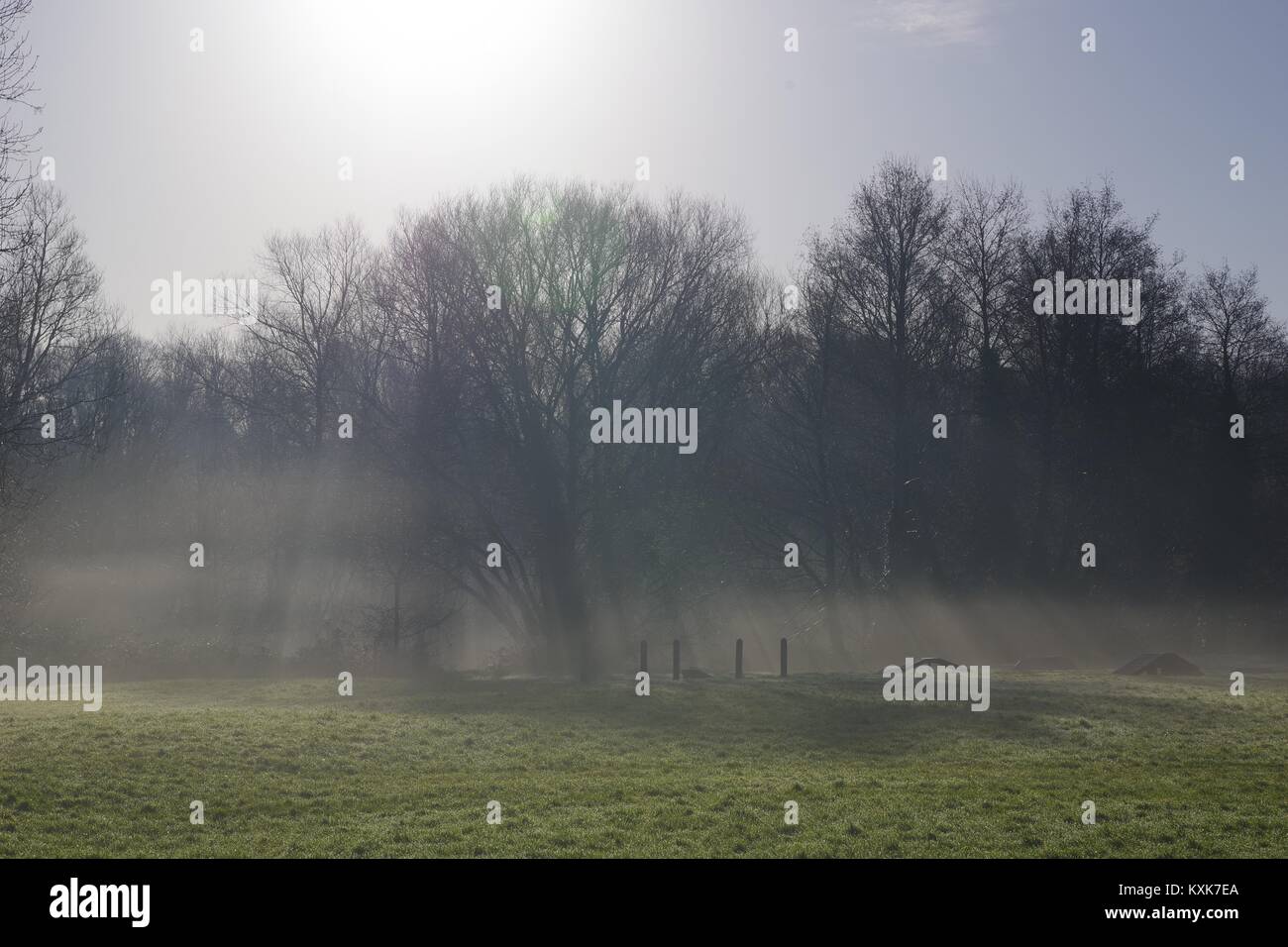 Les hivers brumeux matin sur un champ d'herbe par Ludwell Valley Park. Exeter, Devon, UK. Janvier, 2018. Banque D'Images