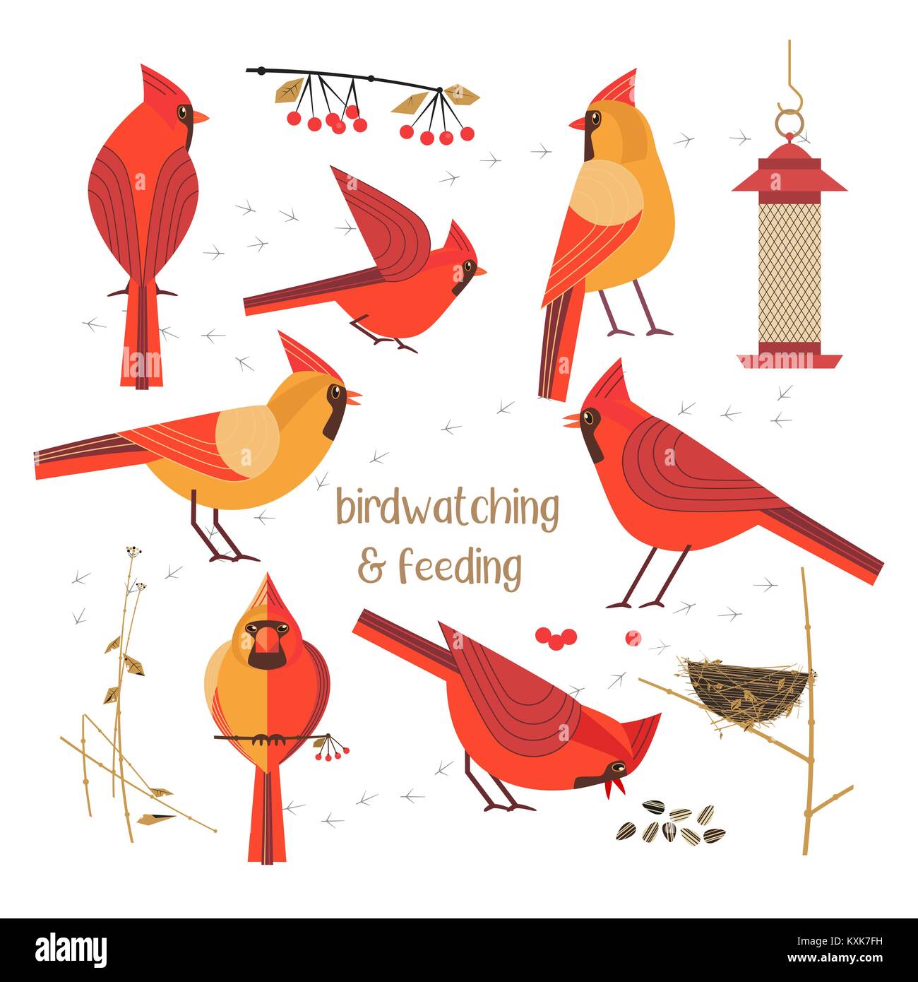 Affiche de nourrissage des oiseaux. Illustration de Vecteur