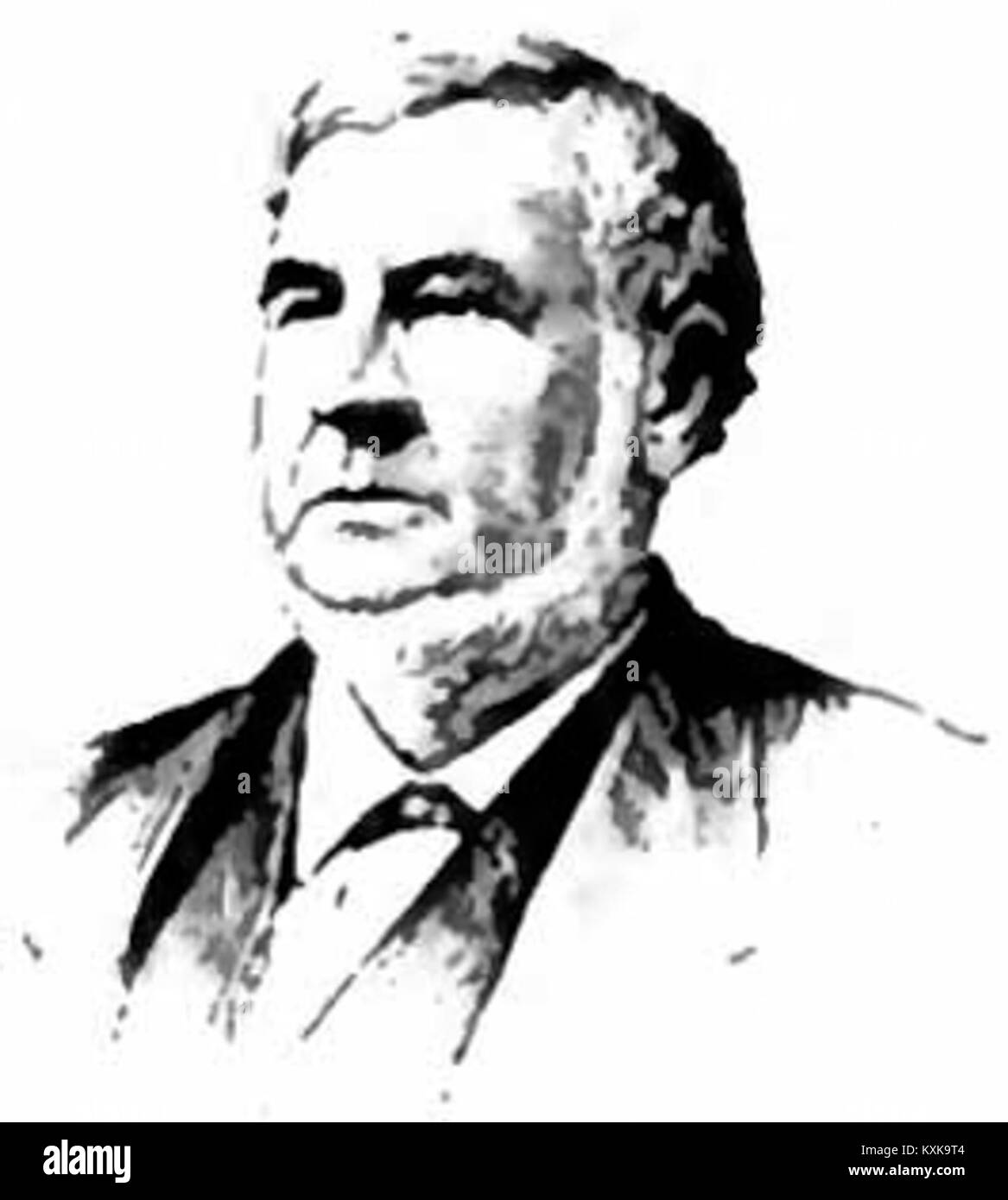 David Davis (1815-1886) est un avocat américain, homme politique et juge de la Cour suprême dont la vie et la carrière sont détaillées dans les ouvrages biographiques d'Appletons, mettant en évidence ses contributions au XIXe siècle. Banque D'Images