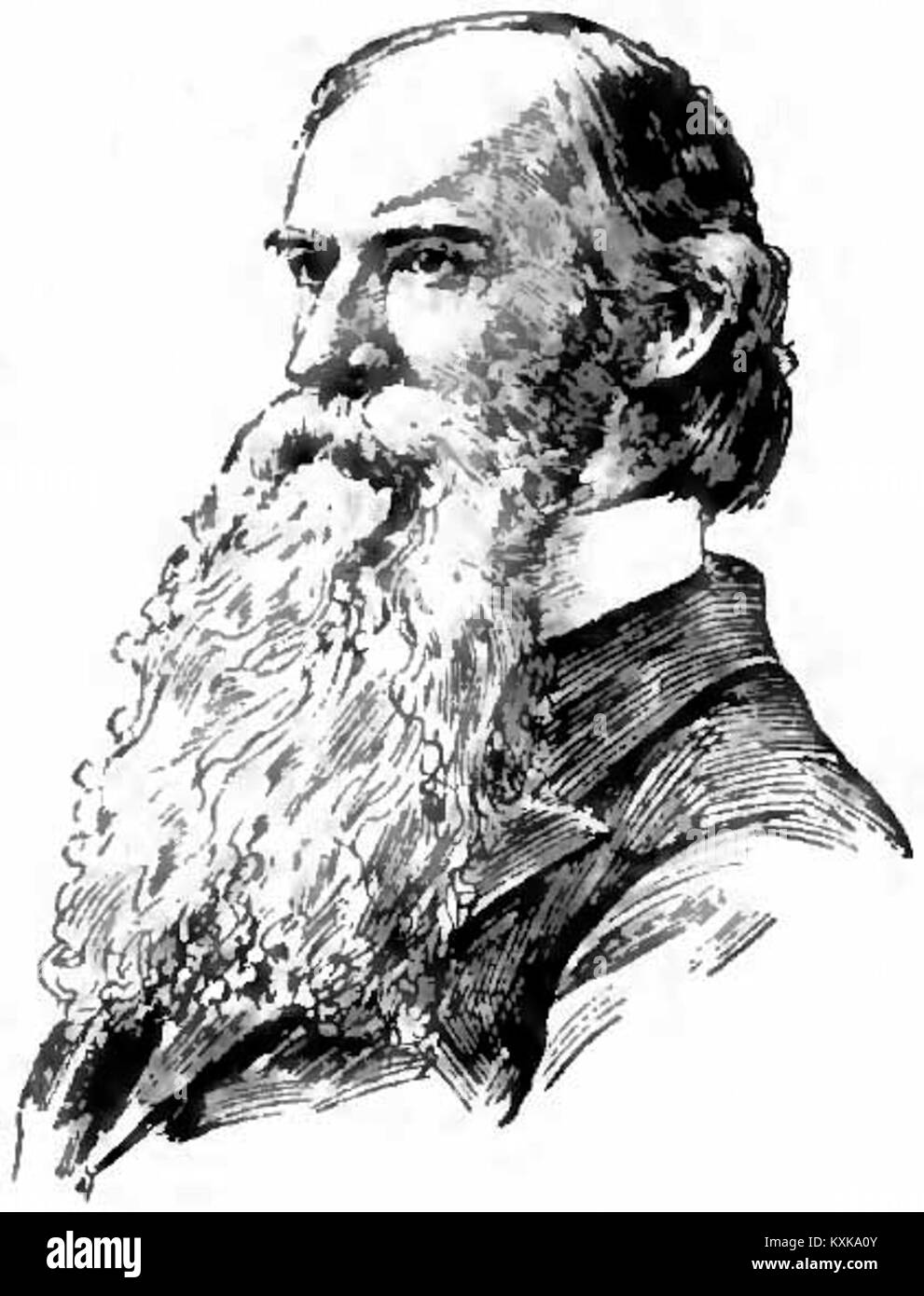 John Strong Newberry est un scientifique et explorateur du XIXe siècle documenté dans les archives d'Appletons, reconnu pour ses contributions à la géologie et à l'histoire naturelle américaine. Banque D'Images