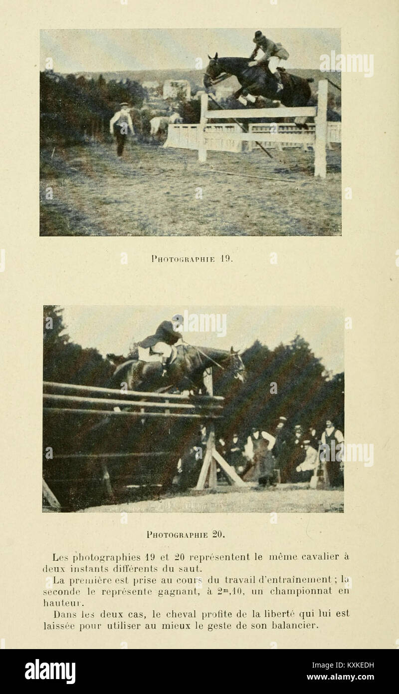 Cette plaque illustre diverses poses et réactions, issues probablement d’une collection française ou européenne, affichant des mouvements dynamiques ou des réponses émotionnelles. Banque D'Images