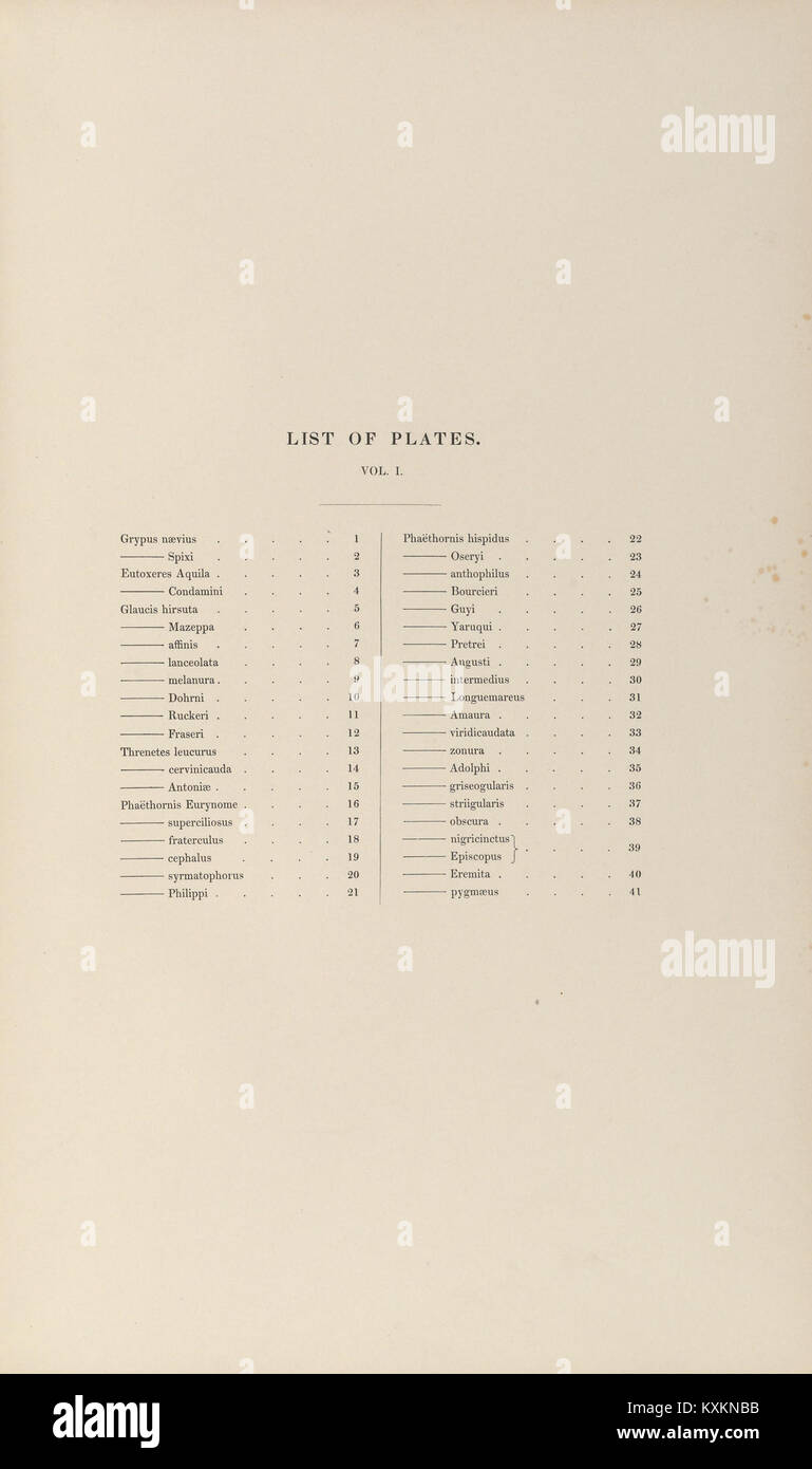 La monographie sur les Trochilidae fournit des recherches et des illustrations sur les colibris, détaillant les caractéristiques des espèces et contribuant aux connaissances ornithologiques. Banque D'Images
