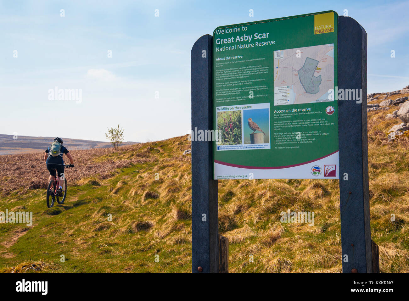 Vélo de montagne femelle passant au meilleur signe de la réserve naturelle la réserve naturelle nationale de cicatrice Asby dans Cumbria Banque D'Images Vélo de montagne femelle passant au meilleur signe de la réserve naturelle la réserve naturelle nationale de cicatrice Asby dans Cumbria Banque D'Images