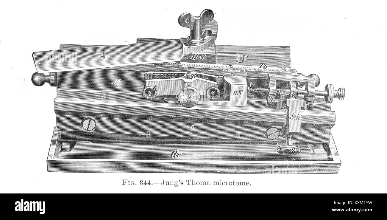 Jung microtome Thoma Banque D'Images