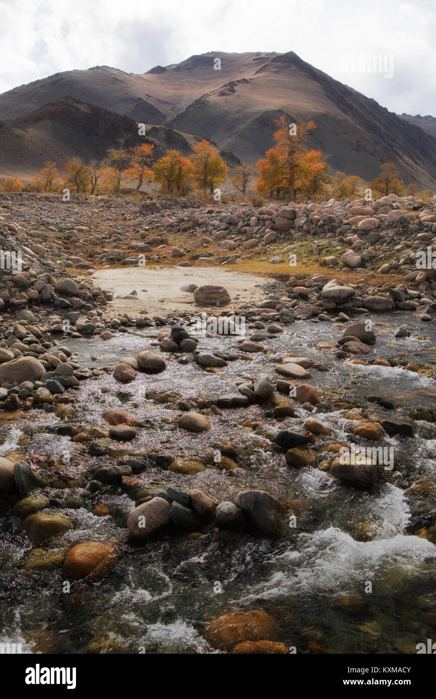 Feuilles d'automne jaune Mongolie River jet de l'eau paysage Banque D'Images