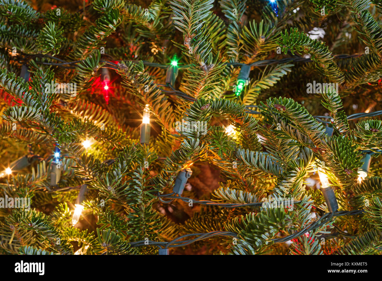 Détail de l'arbre de Noël avec des lumières Banque D'Images