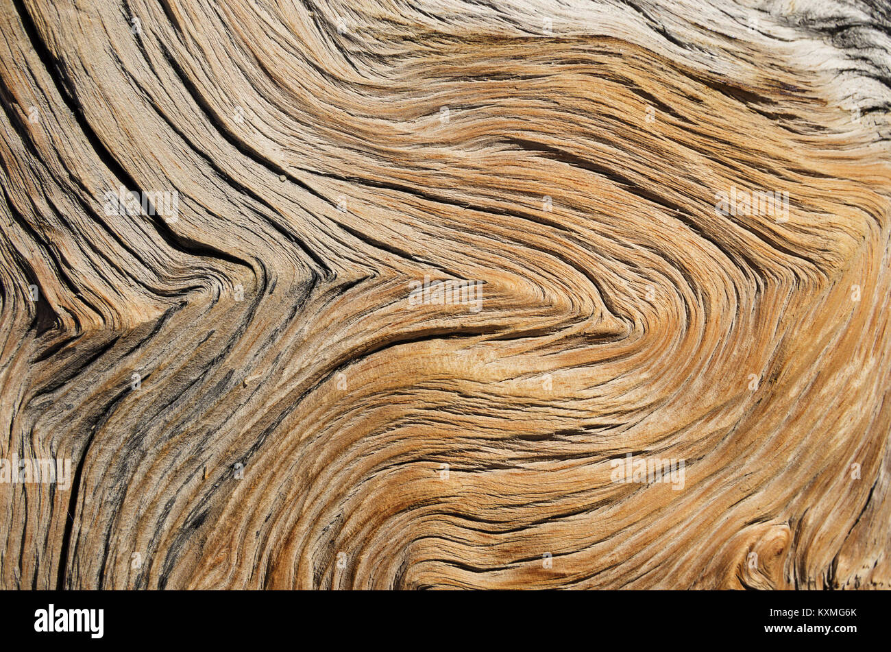 Weathered Wood grain crispé et texture d'arrière-plan Banque D'Images