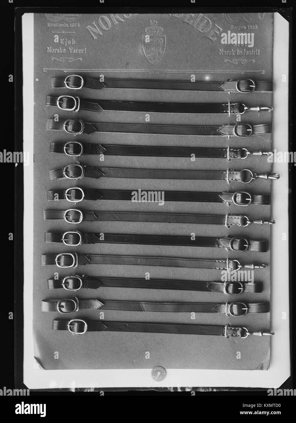 & Fikkan Bjørndal - pas-nb digifoto 2016033000365 NB NS NM 09540 Banque D'Images