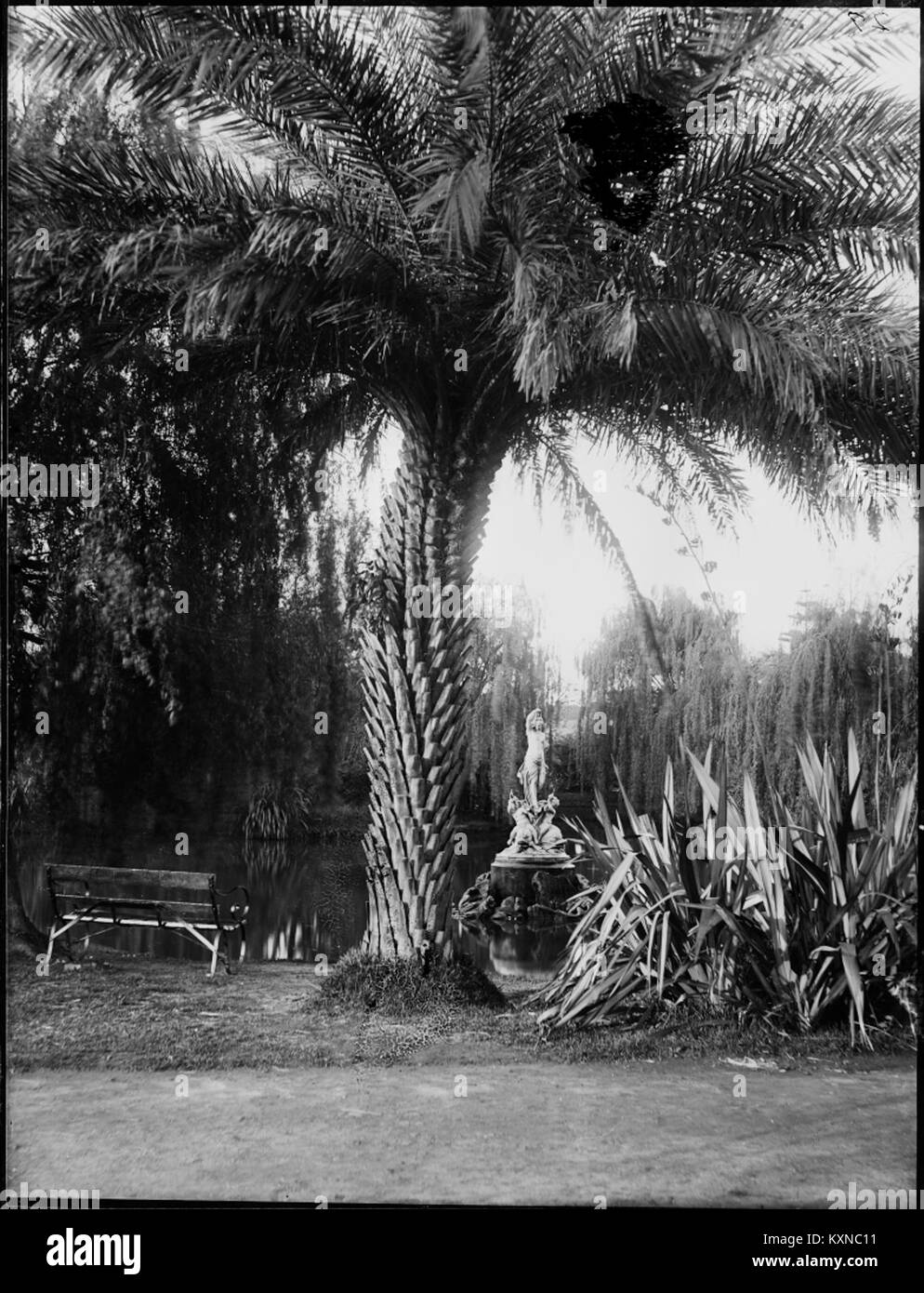 Cette image représente une scène de parc sereine dans un jardin botanique, avec une vue sur un lac et une sculpture de fille debout, soulignant l'atmosphère paisible et artistique de l'endroit. Banque D'Images Cette image représente une scène de parc sereine dans un jardin botanique, avec une vue sur un lac et une sculpture de fille debout, soulignant l'atmosphère paisible et artistique de l'endroit. Banque D'Images