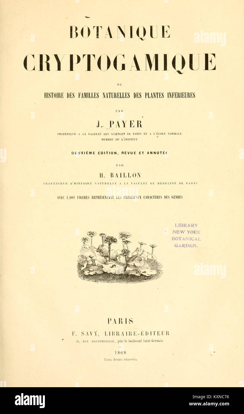 Un texte scientifique sur la botanique cryptogamique détaillant la classification et les familles naturelles des plantes non fleuries telles que les fougères, les mousses et les champignons, fondements de la recherche botanique du XIXe siècle. Banque D'Images