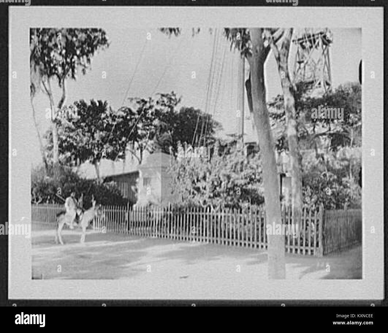 Un garçon assis sur un âne devant une statue du lieutenant Thomas Waghorn au Caire, Egypte, montrant une scène de rue, animal, enfant, et statue commémorative. Banque D'Images