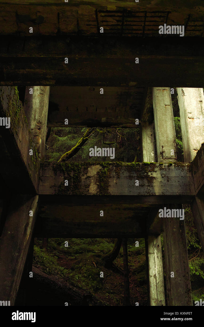 Mine abandonnée dans la forêt dans la région de Monts métallifères, République tchèque (monts Métallifères) Banque D'Images