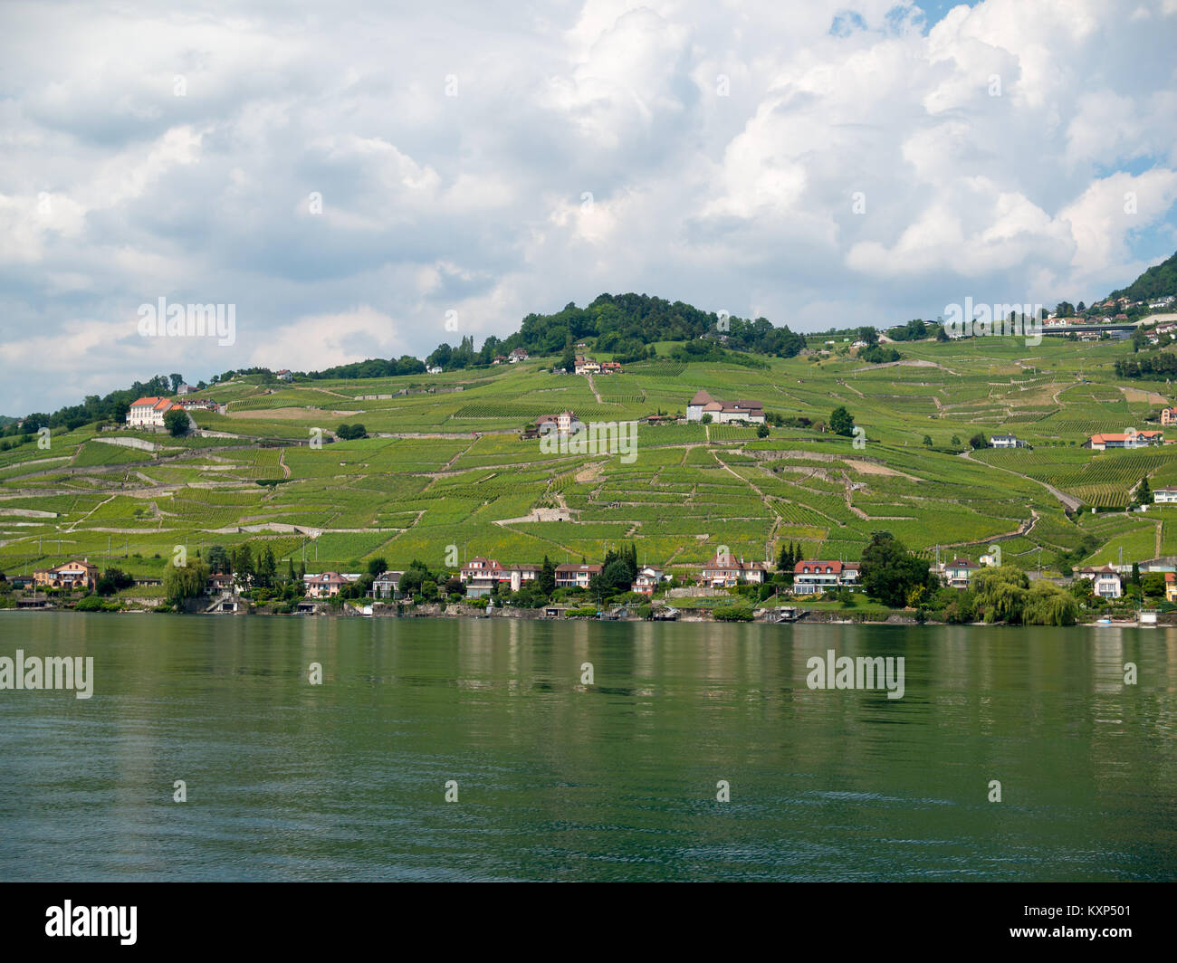 Lavaux par Geneva lake Banque D'Images