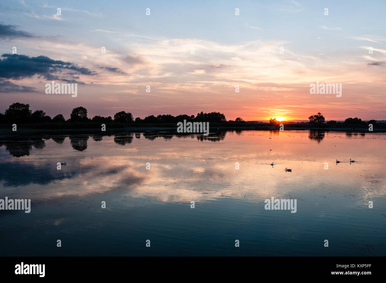 Coucher du soleil d'été à Startopsend réservoir, près de Tring, Hertfordshire, Angleterre. Une partie de la Réserve Naturelle des réservoirs Tring Banque D'Images