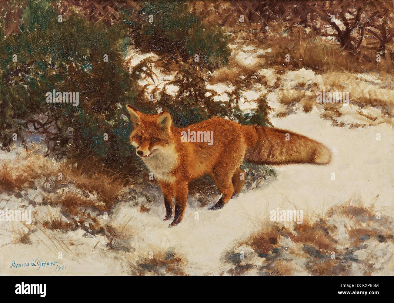 La peinture de Bruno Liljefors de 1911 « Renard dans la forêt d'hiver » représente un renard dans une forêt enneigée, illustrant la faune dans un paysage naturel. Banque D'Images