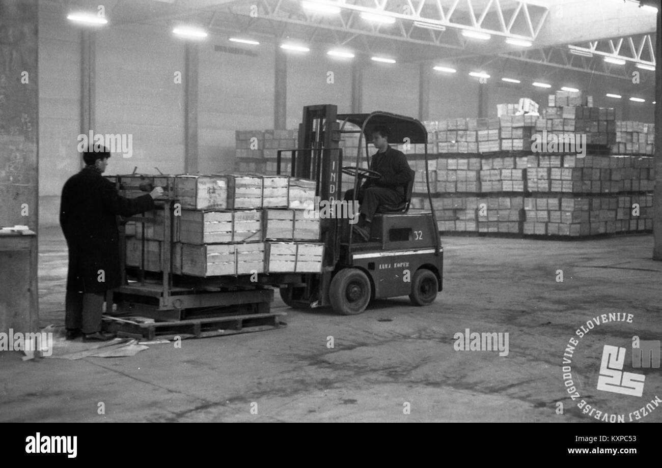 Photographie de 1966 montrant des oranges égyptiennes au port de Koper, documentant les importations agricoles et le commerce maritime vers la Yougoslavie au milieu du XXe siècle. Banque D'Images