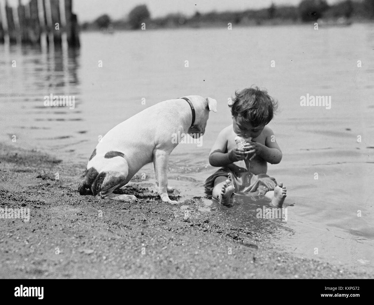 En ligne auto racers Speedway à ligne de départ pour commencer la course. Banque D'Images