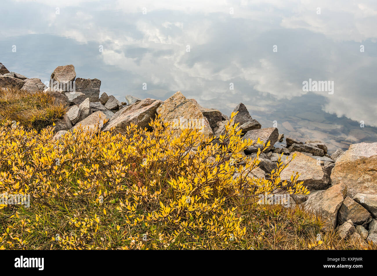 Les cumulus se reflétant dans un lac de montagne le long de l'autoroute Beartooth avec des feuilles jaunes et des roches multicolores le long du bord de la Banque D'Images