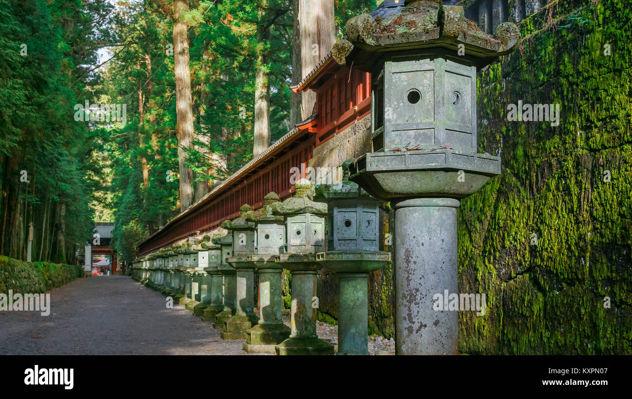 Lanternes en pierre sur le côté de Toshogu qui mènent à Futarasan Shrine à Nikko, Tochigi, Japon Nikko, JAPON - 17 NOVEMBRE 2015 : lanternes en pierre Banque D'Images