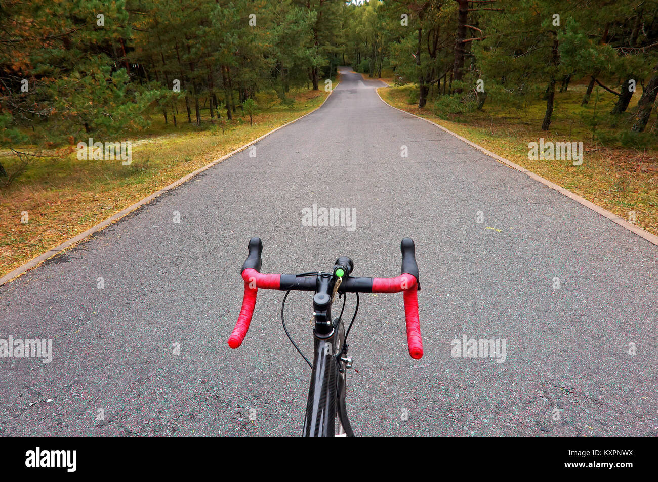 Vélo de route avec garniture rouge direction en vélo à travers la forêt de pins, le vélo sur l'arrière-plan de la piste en forêt Banque D'Images