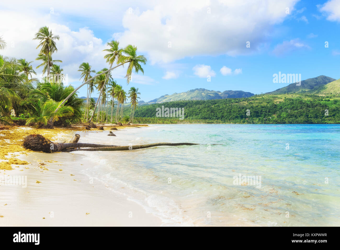 Panorama de la célèbre plage isolée de Rincon, Las Galeras, République Dominicaine Banque D'Images