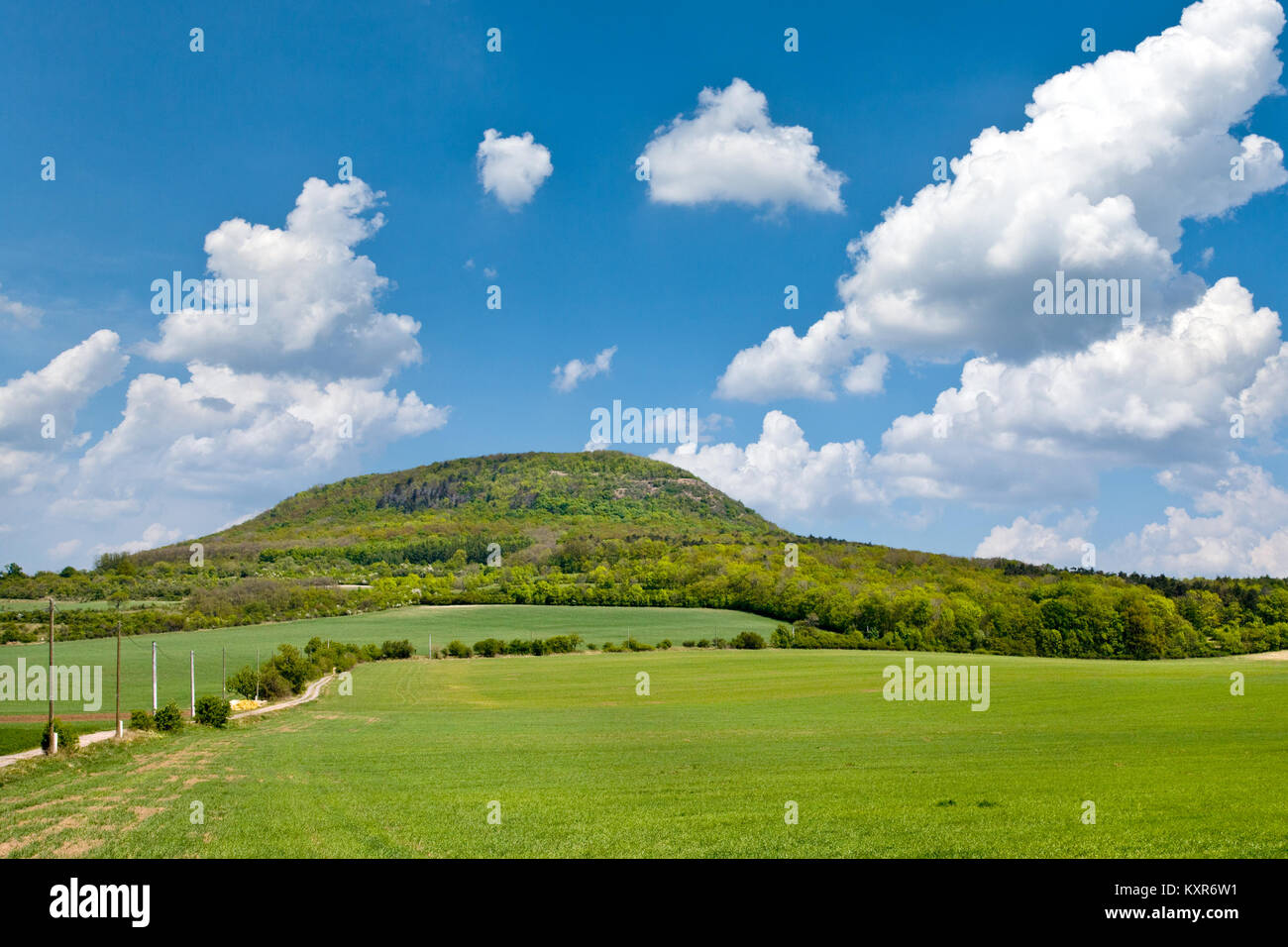 La colline mystique nationale Rip, Central Bohemia, République tchèque - Paysage de printemps avec des champs verts et ciel bleu avec des nuages Banque D'Images