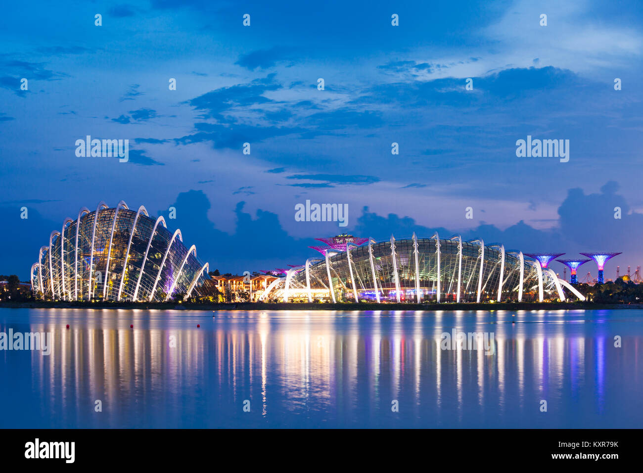 Singapour - le 16 octobre 2014 : Dôme de fleurs à Marina Bay Garden au coucher du soleil. Banque D'Images