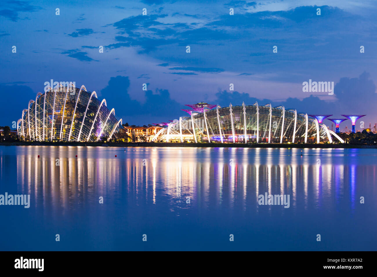 Singapour - le 16 octobre 2014 : Dôme de fleurs à Marina Bay Garden au coucher du soleil. Banque D'Images