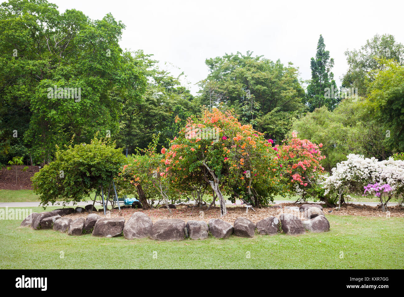Singapour - le 17 octobre 2014 : Le Singapore Botanic Gardens est un jardin botanique de 74 hectares à Singapour. Banque D'Images
