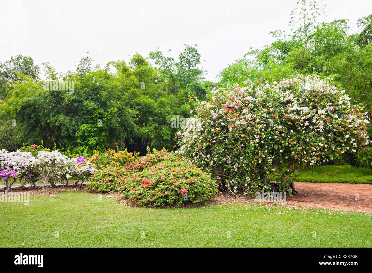 Singapour - le 17 octobre 2014 : Le Singapore Botanic Gardens est un jardin botanique de 74 hectares à Singapour. Banque D'Images