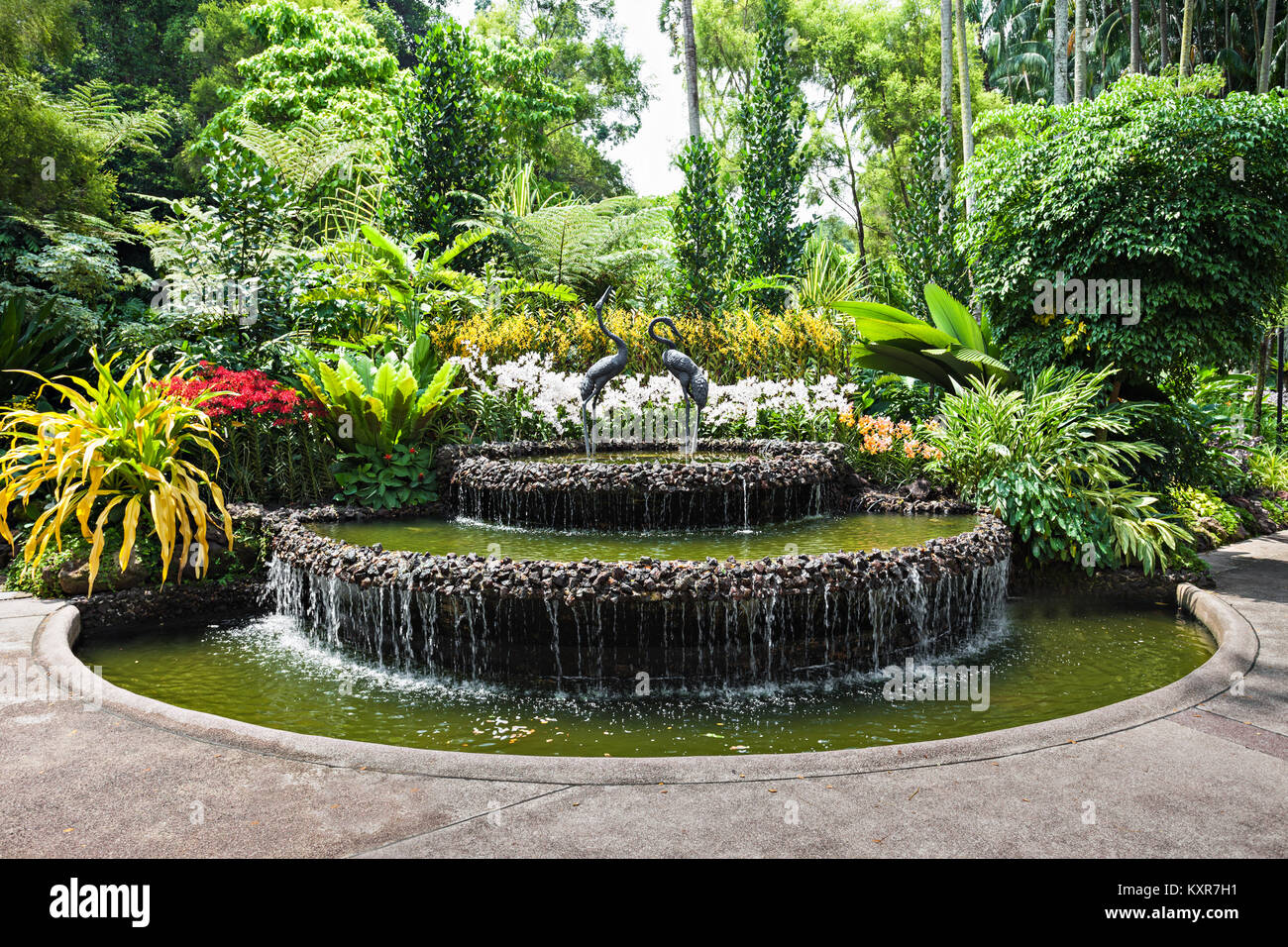 Singapour - le 17 octobre 2014 : Le National Orchid Garden, situé dans le Jardin Botanique de Singapour. Banque D'Images