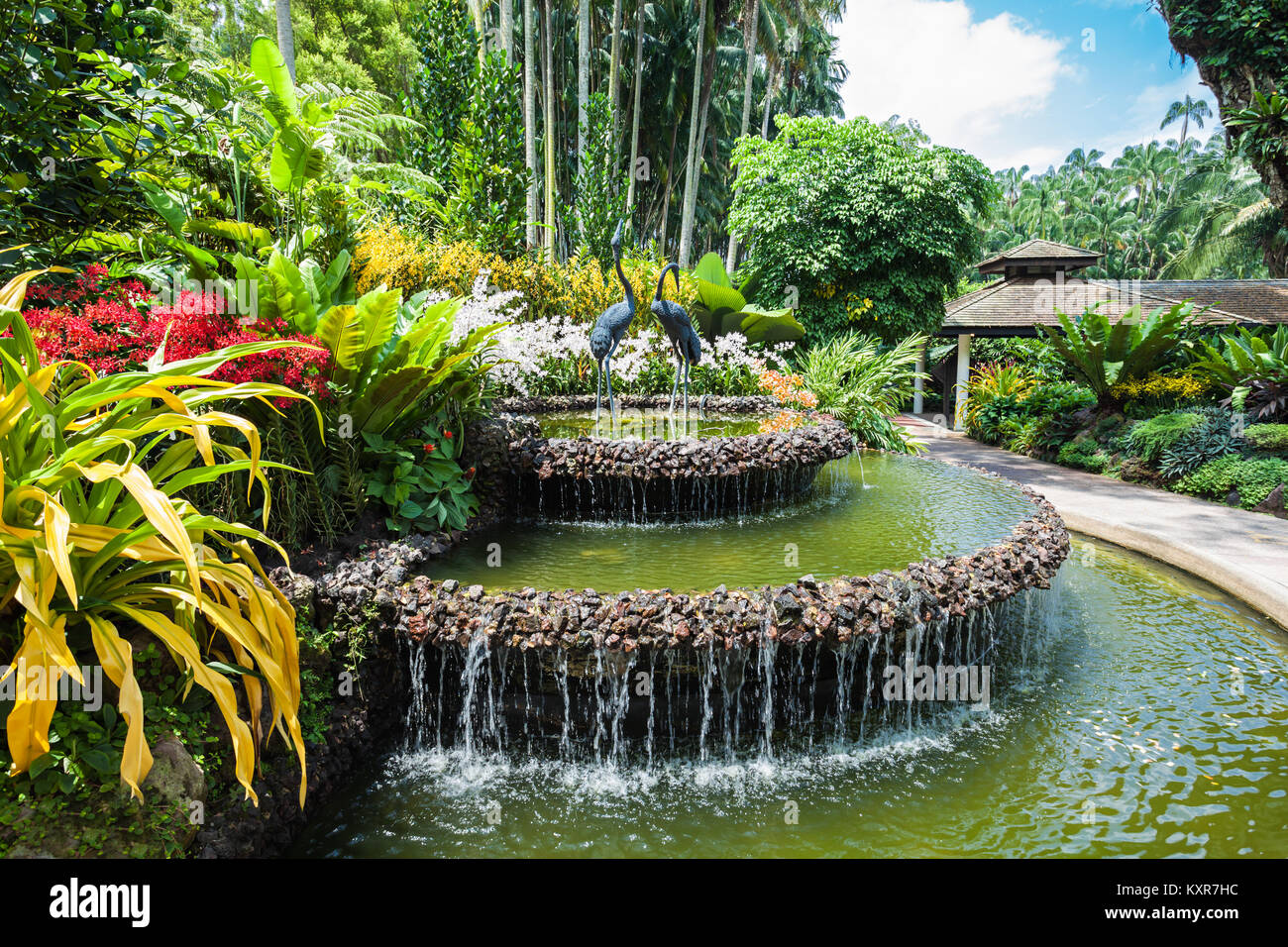 Singapour - le 17 octobre 2014 : Le National Orchid Garden, situé dans le Jardin Botanique de Singapour. Banque D'Images