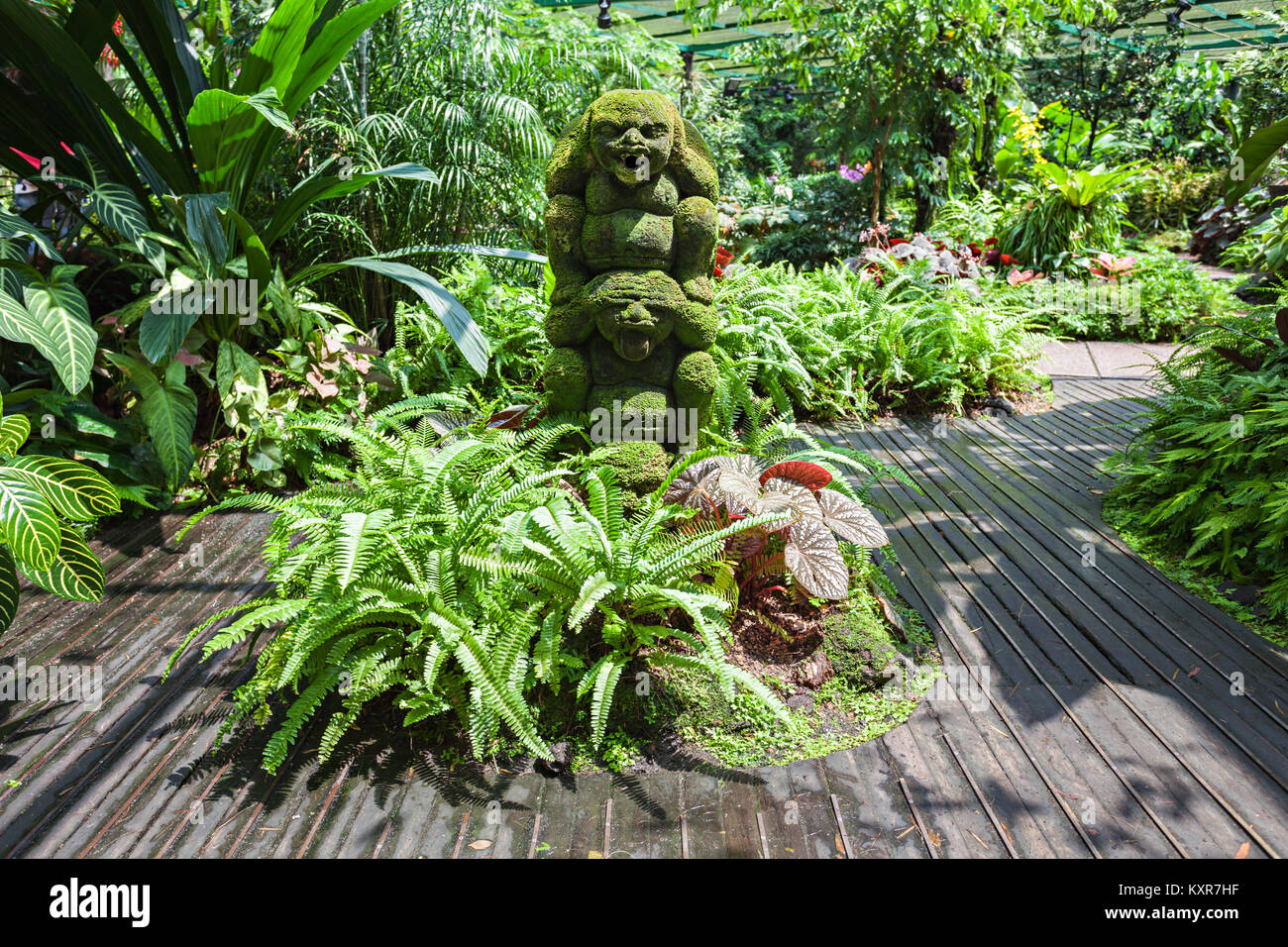 Singapour - le 17 octobre 2014 : Le National Orchid Garden, situé dans le Jardin Botanique de Singapour. Banque D'Images