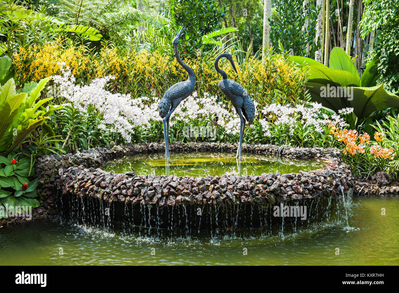 Singapour - le 17 octobre 2014 : Le National Orchid Garden, situé dans le Jardin Botanique de Singapour. Banque D'Images